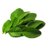 DAUN LIMAU PURUT 1 KG