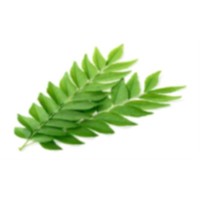 DAUN KARI 1 KG